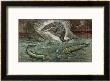 Protosaurus And Two Of The Marine Creatures From Which It Developed, Holoptychius And Osteolepis by A. Demarle Limited Edition Pricing Art Print