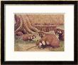 Examples Of The Rhine Hamster by Louis A. Sargent Limited Edition Print