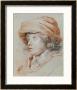 Portrait Study Of His Son Nicolas, Chalk Drawing by Peter Paul Rubens Limited Edition Print