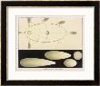 Diagram Showing Cometary Motion by Charles F. Bunt Limited Edition Pricing Art Print