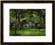 Farmhouse In Normandy, Summer (Hattenville), 1882 by Paul Cezanne Limited Edition Print