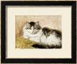 A Cat, 1893 by Henriette Ronner-Knip Limited Edition Print