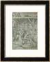 Nativity, Pen And Ink by Albrecht Durer Limited Edition Print