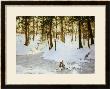 Ice In The Glen, 1908 by Walter Launt Palmer Limited Edition Print