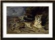 Jeune Tigre Jouant Avec Sa Mere by Eugene Delacroix Limited Edition Print