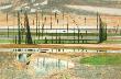 Les Jalles A Arcachon Ii by Rene Genis Limited Edition Print