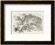 Alice And The Cheshire Cat The Cheshire Cat Fades Away by John Tenniel Limited Edition Print