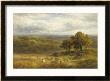 Harvesting Near Barrow, Derby by George Turner Limited Edition Print