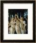 La Primavera, The Three Graces by Sandro Botticelli Limited Edition Print