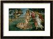 The Birth Of Venus, 1486, Tempera On Canvas by Sandro Botticelli Limited Edition Print