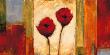 Poppies In Rhythm Ii by Brian Francis Limited Edition Print