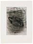 Schwein by Georg Baselitz Limited Edition Print