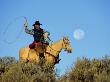 Cowboy With Lasso On Horseback, Seneca, Or by Inga Spence Limited Edition Print