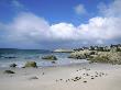 Penguins At The Boulders, Cape Town, South Africa by Bill Bachmann Limited Edition Pricing Art Print