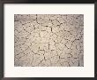 Patterns In Mud Cracks In Drought Area by James Gritz Limited Edition Print