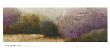Landscape Mist Panel I by Adam Rogers Limited Edition Print