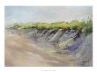Dunes by Joe Terrone Limited Edition Pricing Art Print
