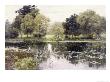 Water Lilies On A Pond by Isaak Ilyich Levitan Limited Edition Print