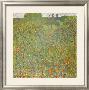Meadow With Poppies by Gustav Klimt Limited Edition Print