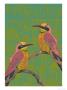 Bird Duo by Talia Donag Limited Edition Print