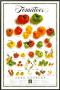 Alice Waters Pricing Limited Edition Prints