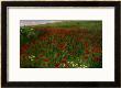 The Poppy Field, 1896 by Paul Von Szinyei-Merse Limited Edition Print