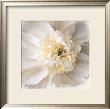 Peony Praise by Rebecca Swanson Limited Edition Print