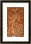 Johnson Album I, No.30 Squirrels On A Plane Tree, Mughal, Circa 1610 by Abu'l Hasan Limited Edition Print