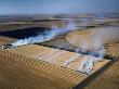 Overhead Of Fields Burning Near Kansas City, Kansas City, Usa by Jim Wark Limited Edition Print