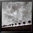 Ten And A Half Trees, Peterhof, Russia, 2000 by Michael Kenna Limited Edition Pricing Art Print