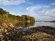 Calm Bay On The Island Of Boca Chica In The Chiriqui Marine National Park, Panama, Central America by Lizzie Shepherd Limited Edition Pricing Art Print