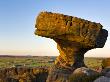 The Druids Table Millstone Grit Rock Formation At Brimham Rocks On The Edge Of The Yorkshire Dales, by Lizzie Shepherd Limited Edition Print