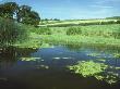 River Stour, Uk by David Boag Limited Edition Print