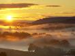 Low Lying Mist Over River Spey And Scattered Woodland At Sunrise, Scotland Uk by Mark Hamblin Limited Edition Print