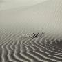 Rippling Sand Dunes Of Death Valley California by Keith Levit Limited Edition Print