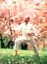 Man Practicing Tai Chi Outdoors by Henryk T. Kaiser Limited Edition Print