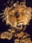 Female Face Overlaid With Flowers by Bill Whelan Limited Edition Pricing Art Print