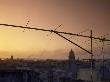 Antenna Silhouette Over Capitol At Sunrise by Mark Hunt Limited Edition Print