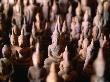 Small Buddha Images In Tham Ting Caves, Pak Ou, Luang Prabang, Laos by Bernard Napthine Limited Edition Print