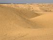 Algodones Dunes, Now Devoid Of Vegetation, Near Mexican Border, Usa by Bob Gibbons Limited Edition Print