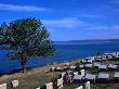 Beach Cemetery by Susan Storm Limited Edition Print