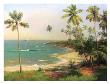 Tropical Coastline by Karen Dupré Limited Edition Pricing Art Print