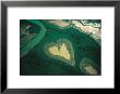 Coeur De Voh by Yann Arthus-Bertrand Limited Edition Print