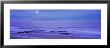 Moon Shining Over The Sea, Snaefellsnes, Borgarfjordur, Iceland by Panoramic Images Limited Edition Pricing Art Print