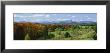 Trees In The Forest, Newport, Vermont, New England, Usa by Panoramic Images Limited Edition Print