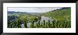 Vineyards Along Moselle River, Mosel-Saar-Ruwer, Germany by Panoramic Images Limited Edition Print