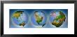 Small Globes In A Nest by Panoramic Images Limited Edition Print