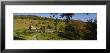 Buildings In A Field, Sleepy Hollow Farm, Woodstock, Vermont, Usa by Panoramic Images Limited Edition Print