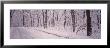 Snow Covered Road, Holland, Michigan, Usa by Panoramic Images Limited Edition Pricing Art Print