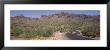 Cactus Along A Road, Dreamy Draw Park, Arizona, Usa by Panoramic Images Limited Edition Print